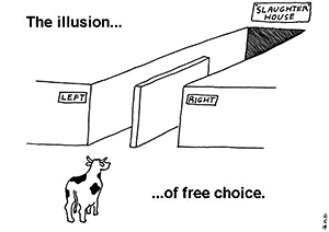 The illusion of free choice (cartoon of a cow being lead to the slaughterhouse, with only Left or Right as its two options that ultimately lead it to the same fate)